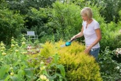 GARDENA Accu Gras- En Buxusschaar Set Accucut Li -Kettler Tuinieren Winkel gardena accu gras en buxusschaar set accucut li 1619704816 l