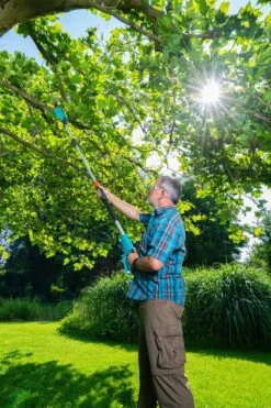 GARDENA Accu Telescopische Snoeizaag TCS 20/18 P4A Solo 6 GARDENA Accu Telescopische Snoeizaag TCS 20/18 P4A Solo -Kettler Tuinieren Winkel gardena accu telescopische snoeizaag tcs 20 18 p4a solo 1000x1500 640af3255d2cf l