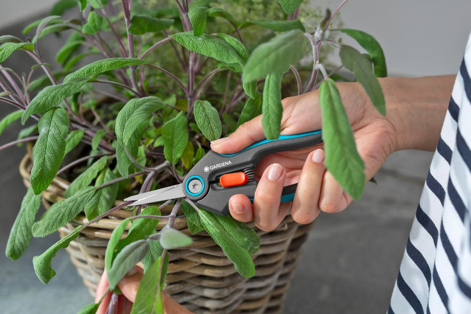 GARDENA FreshCut 4 GARDENA FreshCut - Afbeelding 4