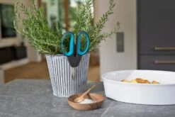 GARDENA HerbCut Set 7 GARDENA HerbCut Set -Kettler Tuinieren Winkel gardena herbcut set 1500x1000 640af8238ccaf l