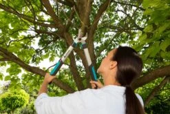 GARDENA Takkenschaar EasyCut 500 B -Kettler Tuinieren Winkel gardena takkenschaar easycut 500 b 1500x1000 640af7e5d4f80 l