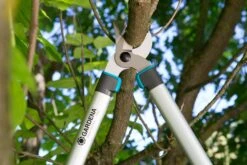 GARDENA Takkenzaag EasyCut 680 B (12003 + 8754 E12) 6 GARDENA Takkenzaag EasyCut 680 B (12003 + 8754 E12) -Kettler Tuinieren Winkel gardena takkenschaar easycut 680 b 8754 1500x1001 640af7ebad3ab l