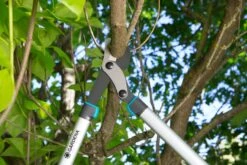 GARDENA Takkenschaar EnergyCut 750 B 5 GARDENA Takkenschaar EnergyCut 750 B -Kettler Tuinieren Winkel gardena takkenschaar energycut 750 b 1500x1000 640af848a316f l