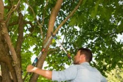 GARDENA Takkenschaar TeleCut Long 650-900 B 6 GARDENA Takkenschaar TeleCut Long 650-900 B -Kettler Tuinieren Winkel gardena telecut long 650 900b 1500x1001 640af7f15744f l