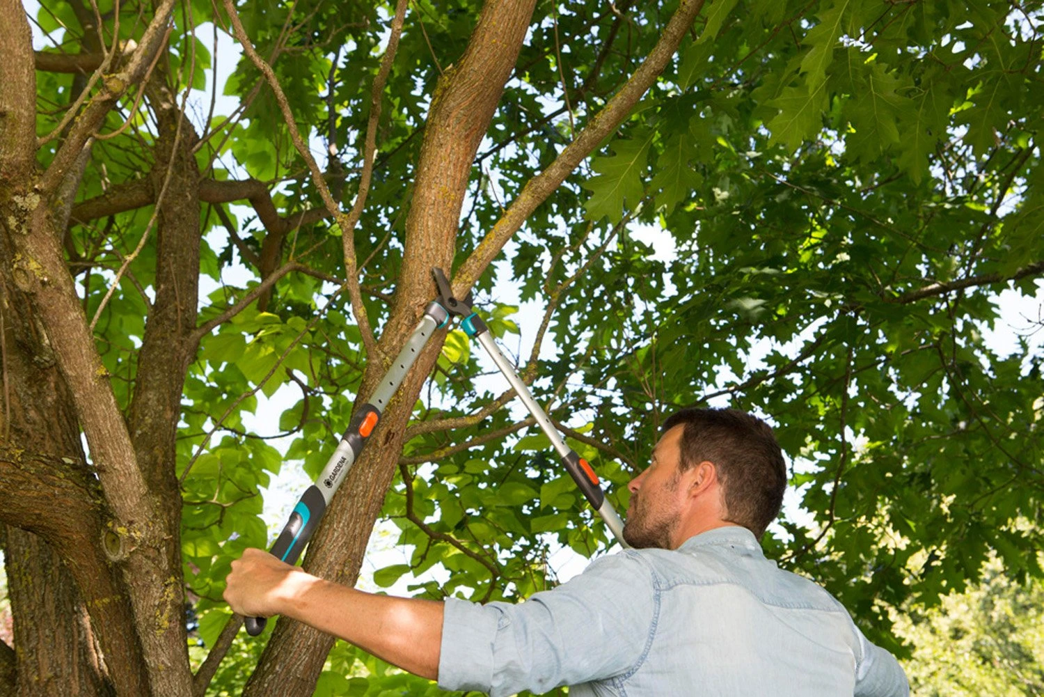 GARDENA Takkenschaar TeleCut Long 650-900 B 3 GARDENA Takkenschaar TeleCut Long 650-900 B - Afbeelding 3