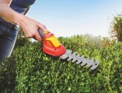 WOLF-Garten Accubuxus Finesse LI-ION PW 30B 5 WOLF-Garten Accubuxus Finesse LI-ION PW 30B -Kettler Tuinieren Winkel wolf garten accubuxus finesse li ion pw 30b 1619177776 1 l