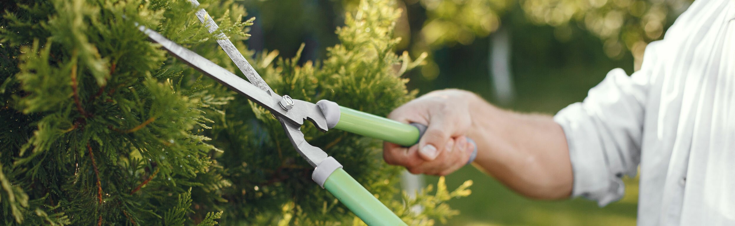 Kettler Tuinieren Winkel -Kettler Tuinieren Winkel tuingereedschap heggenschaar